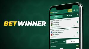 Understanding BetWinner Deposits A Complete Guide