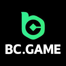 Comprehensive Guide to Support BC.Game