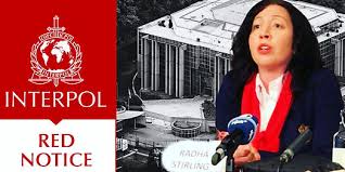 Understanding Interpol Law Firm Expertise in International Law
