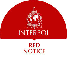 Understanding Interpol Law Firm Expertise in International Law