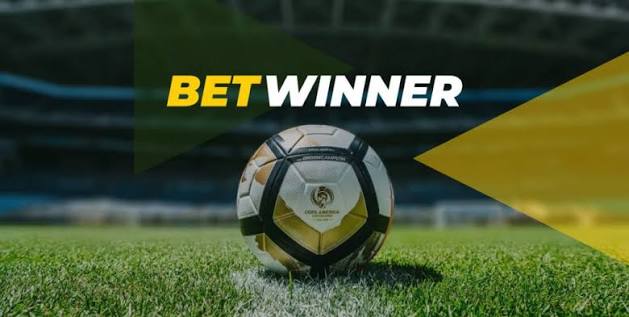 Comprehensive Guide to the BetWinner Login Process