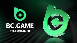 Unlocking Excitement A Complete Guide to BC.Game Bonus Codes